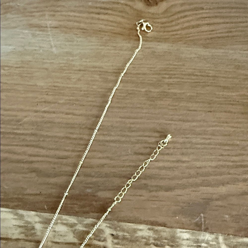 Amazon Gold 'R' Initial Necklace - Picture 3 of 4